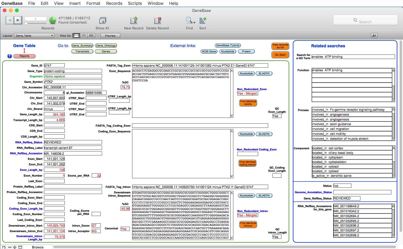 Gene_Table.png